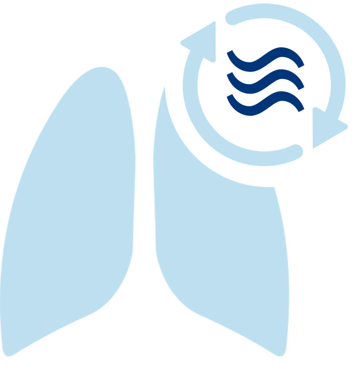 &Iacute;cono de sincron&iacute;a