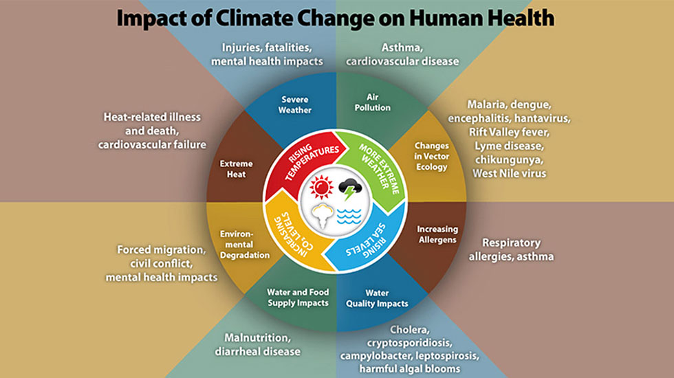 CDC infographic Impact of Climate Change on Human Health