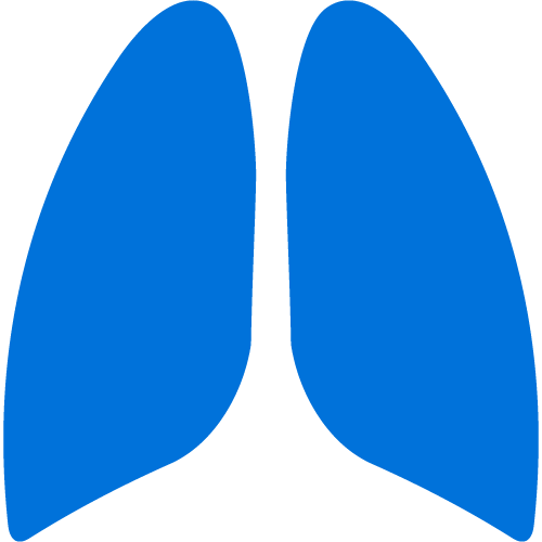 Lung icon